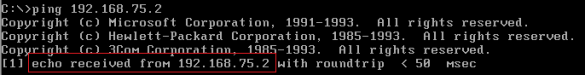 ESX/ESXi : MS-DOS 6.22 and MS Network Client running on VMware ...